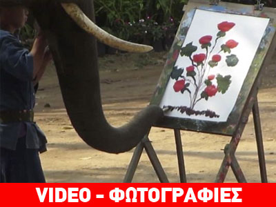 Ελέφαντας – Πικάσο στην Ταϊλάνδη